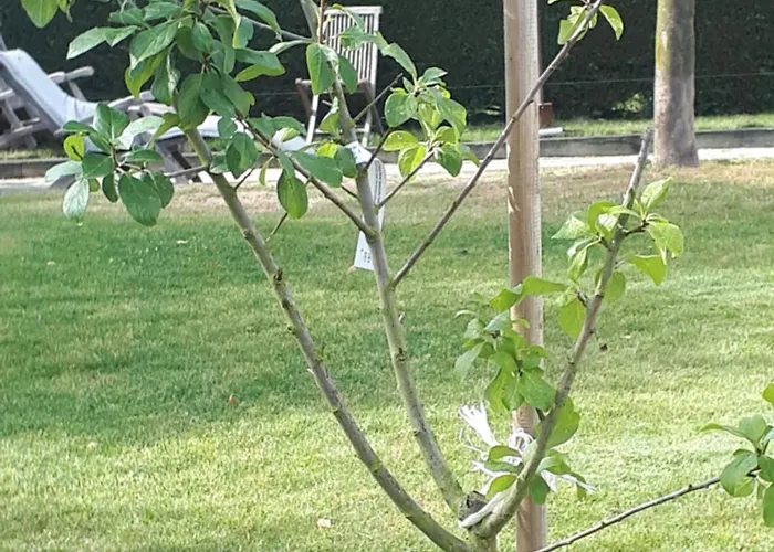 Maison Marie Barrault Maison d'hôtes 4*